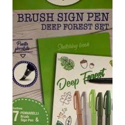 Set Pentel Deep Forest Brush Sign Pen