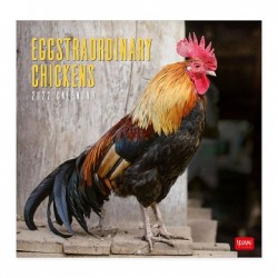  Legami - Calendario da Parete 2022, 30x29cm, Eggstraordinary Chickens